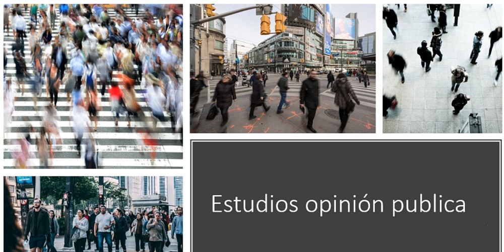 Estudios de opinión publica